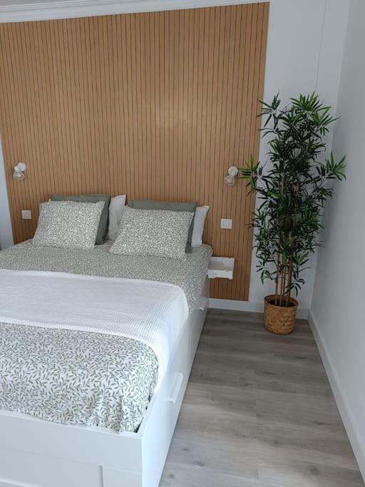 Estudio Girasol Puerto de la Cruz  Luaran gambar